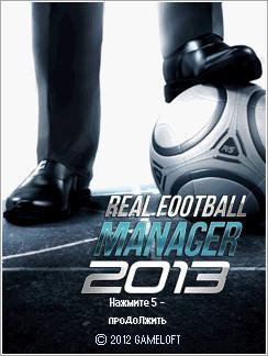 (Рус) Real Football Manager 2013 D900