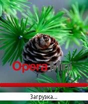 Needles splash Opera Mini by Storm