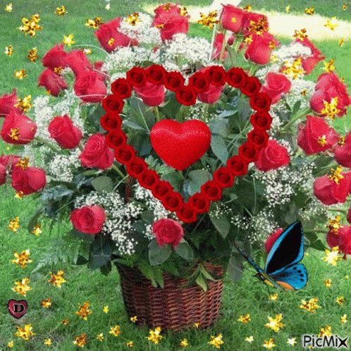 6d4