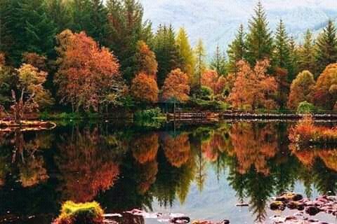FB IMG 16023147404584981
