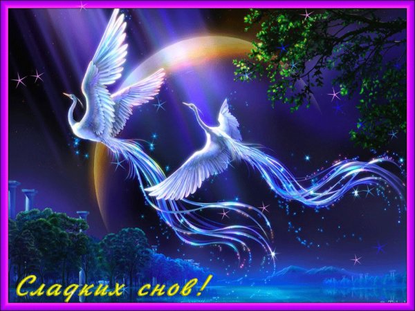 file_72399121
