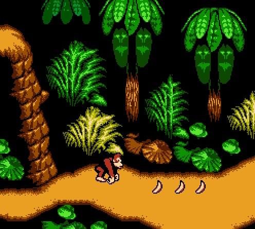 Donkey Kong Country 4