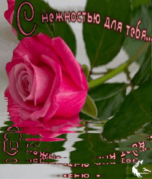 с нежность