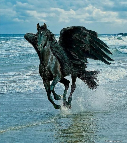 fa5517271e552c93f6fd67bbf8d0a--magical-creatures-fantasy-c