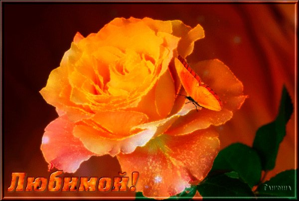 Любимой!