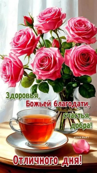 IMG 20260512 124758