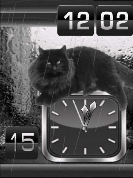 Кот