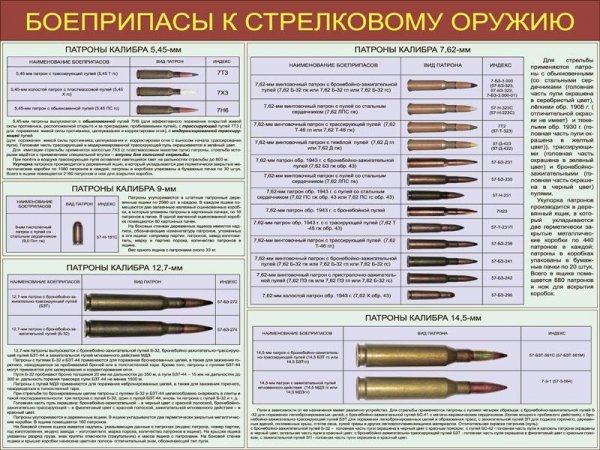 Коломийцев А.В., Собакарь И.С., Никитюк В.Г., Сомов В.В. Патр