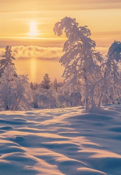 file_101569131