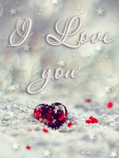 d11