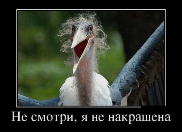 file_77390908