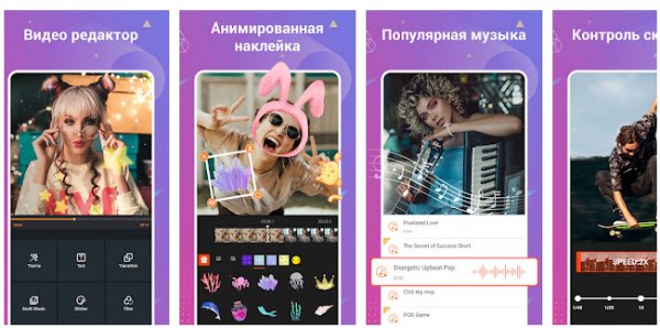 Clipvue v3.5.1 VIP