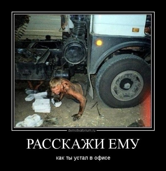 file_101369455