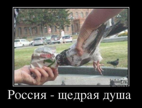 file_65061682