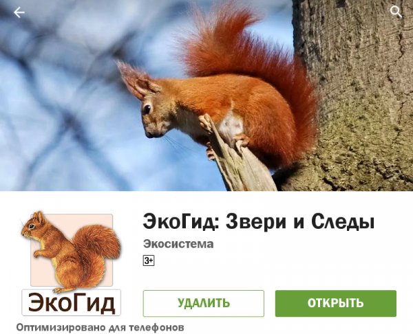 EcoGuideMam 1.1