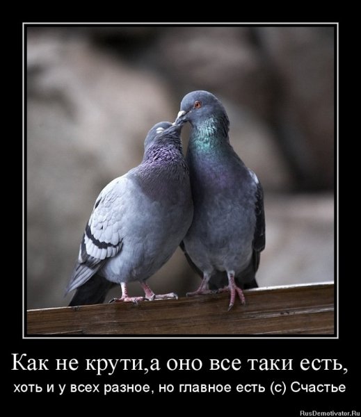 СЧАСТЬЕ...