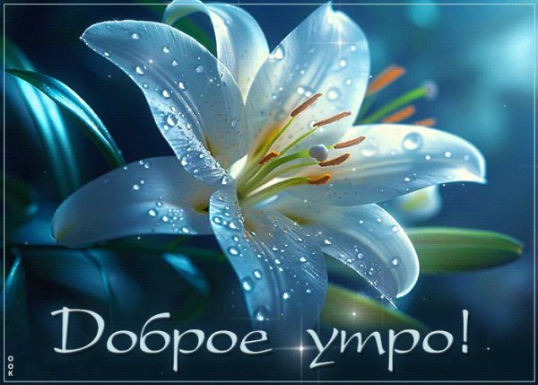 file_98713177