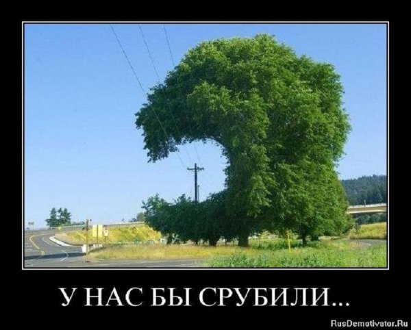 У нас бы срубили