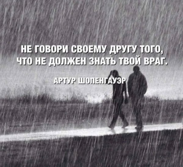 IMG 20251219 063950