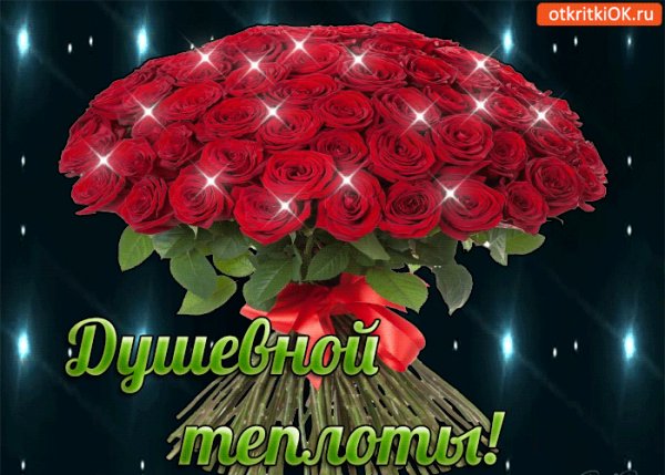 IMG 20171107 211535 1