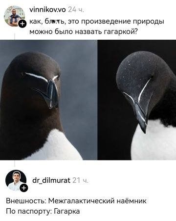 IMG 20260519 234941 194