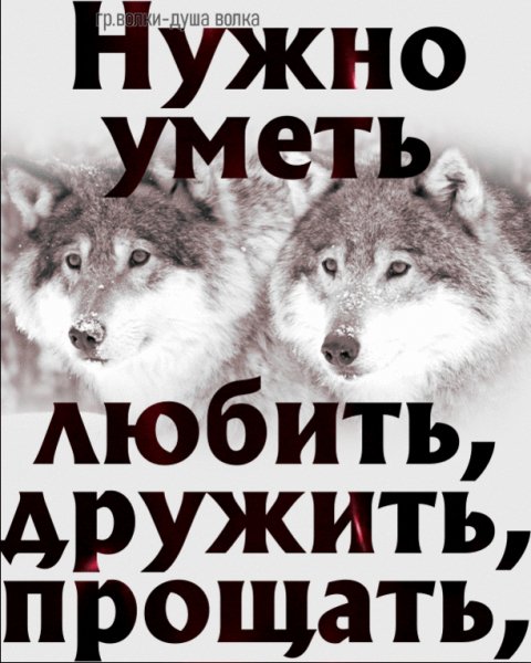 IMG 20241009 094738