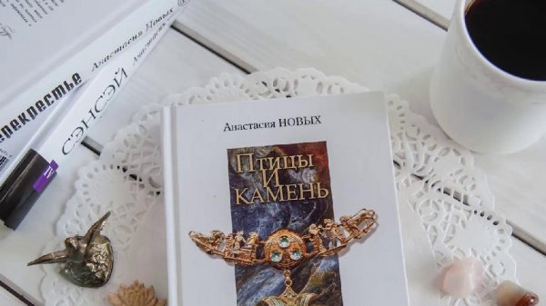 05.Птицы и камень. Дежурство