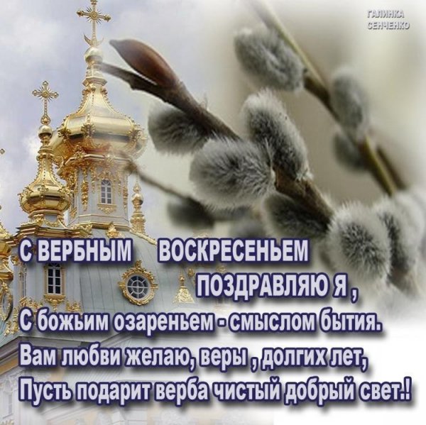 IMG 20170408 225714 0