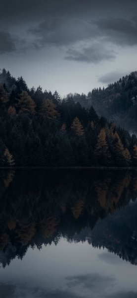 file_100846694