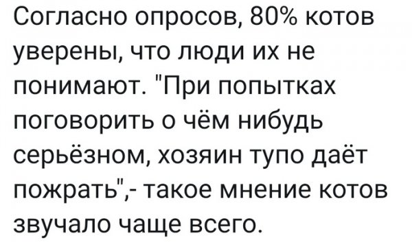 ibgs6zmcghU
