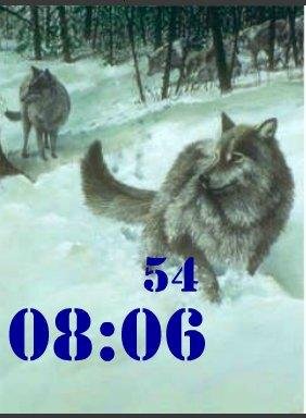 Стая