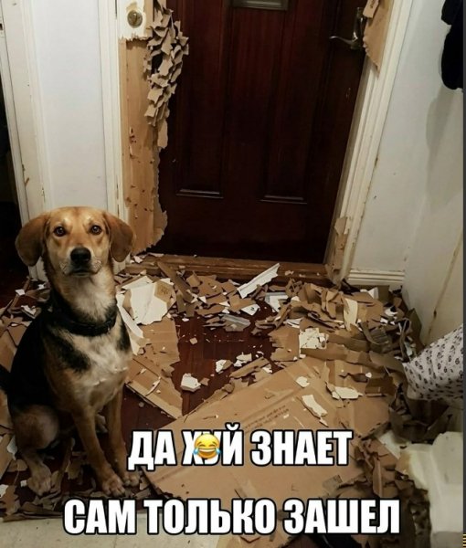 file_102584848