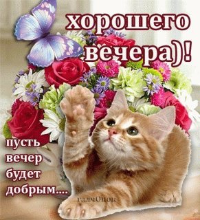 Хорошего вечера