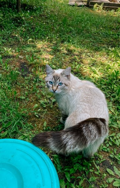 file_103080439