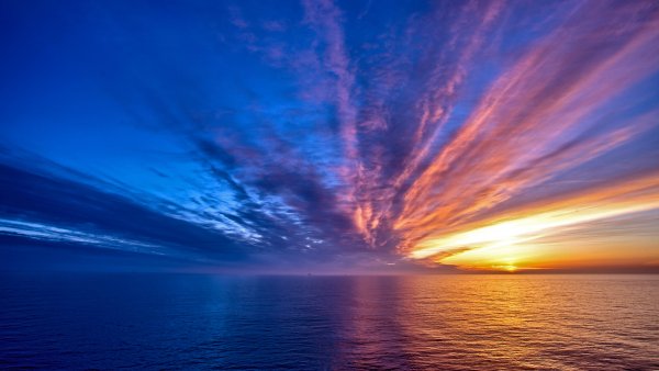 file_82408341