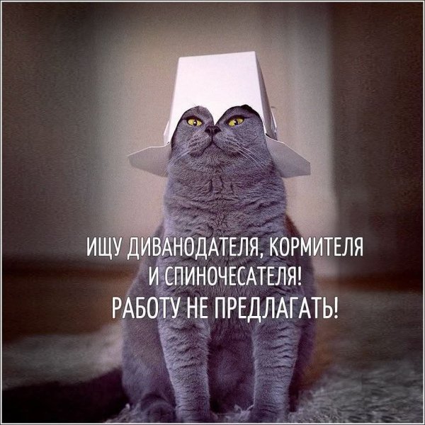 FB IMG 1772742950829