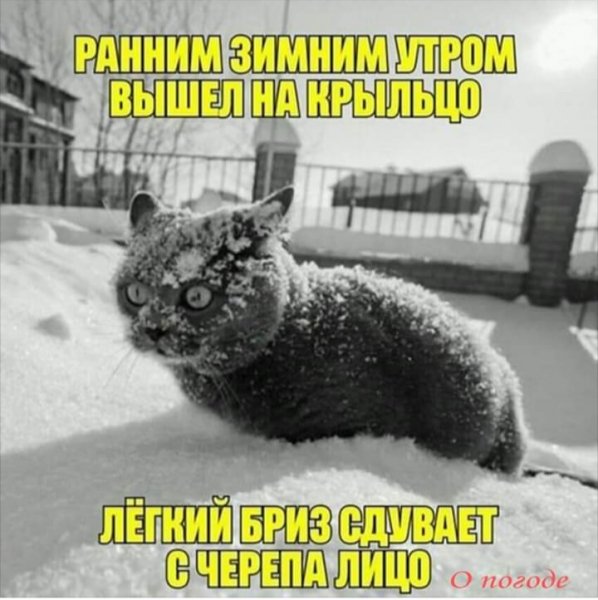 IMG 20200209 152119