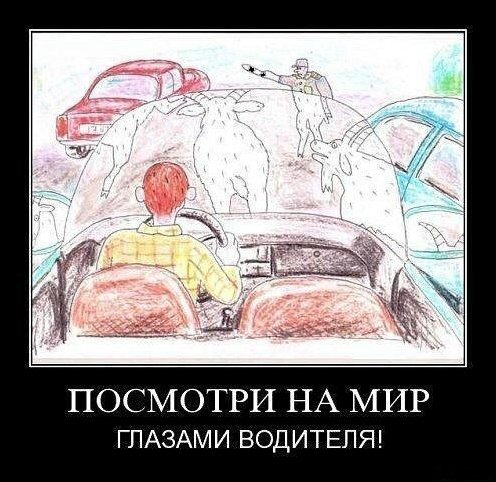 TdOLnM5bK0c
