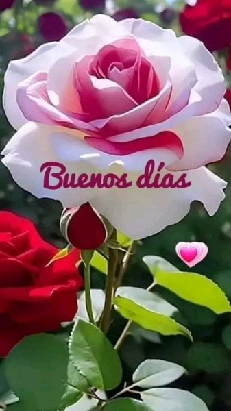 file_95692637