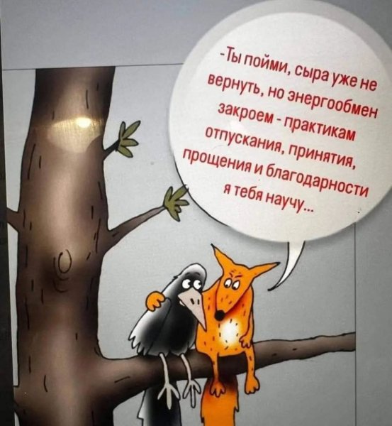 FB IMG 1778184457524