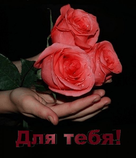 Для тебя 3 р