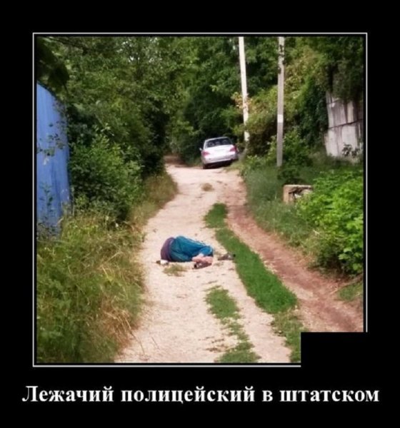 Лежачий полицейский в штатском