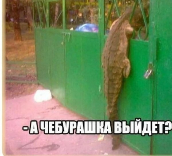 FB IMG 1778184572002