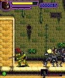 Turtles Ninja