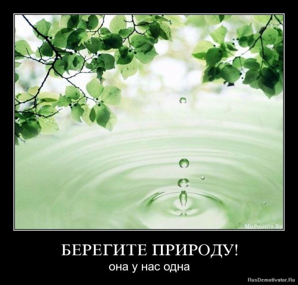 file_84828476