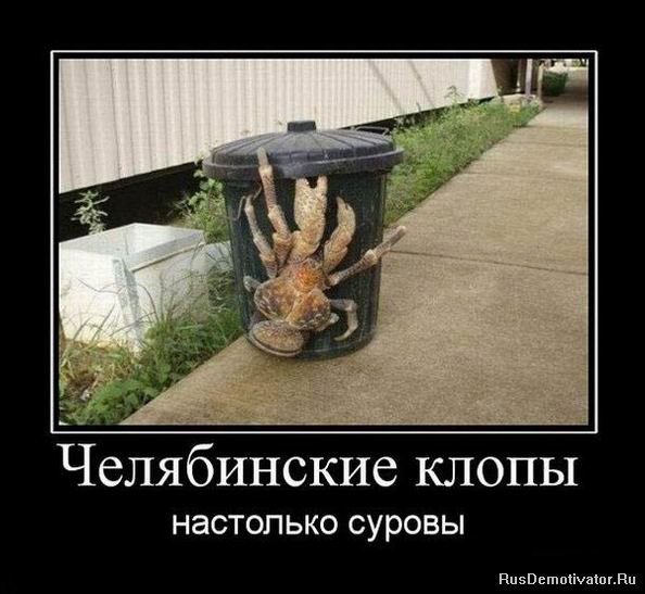 Челябинские клопы настолько суровы