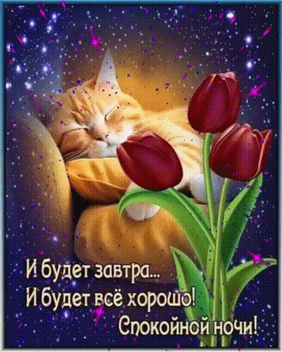 Анимированная открытка и будет завтра