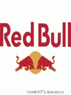 Red Bull Motocros