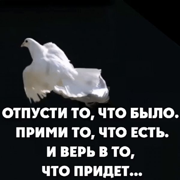 IMG 20200213 174749