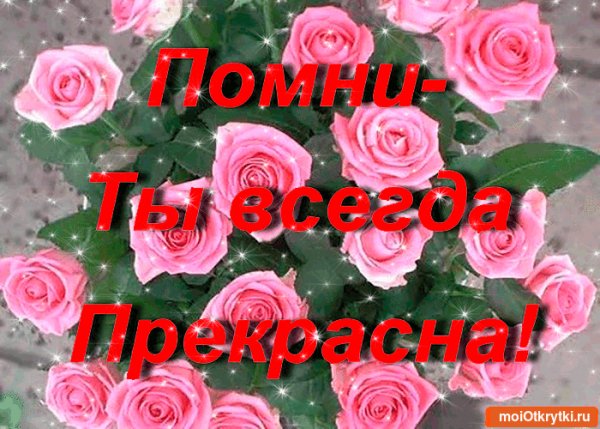 e79ac22bbb579720b961bfc2e59